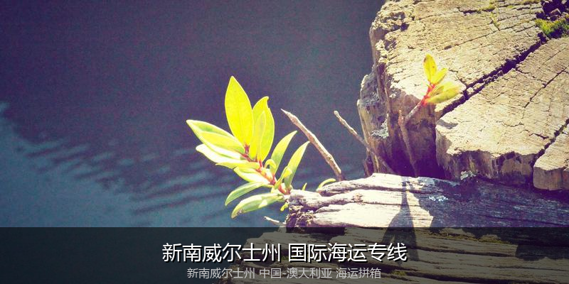 澳大利亚海运专线时效对比与选择指南