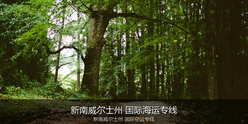 中国出口澳大利亚海运清关全攻略